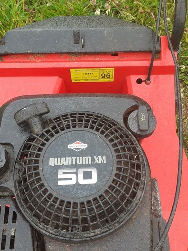 Petrol lawnmower cut - petrol,