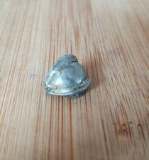 Epic 40k G Eldar Warlock Titan