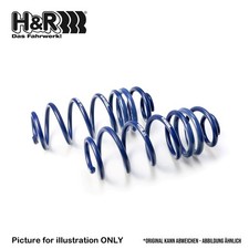 H&R Lowering Springs Front
