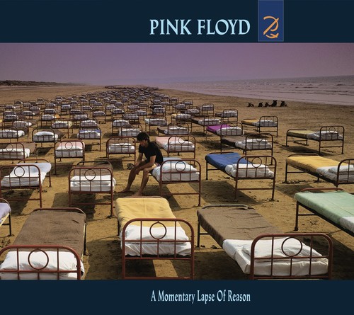 Pink floyd momentary - floyd,