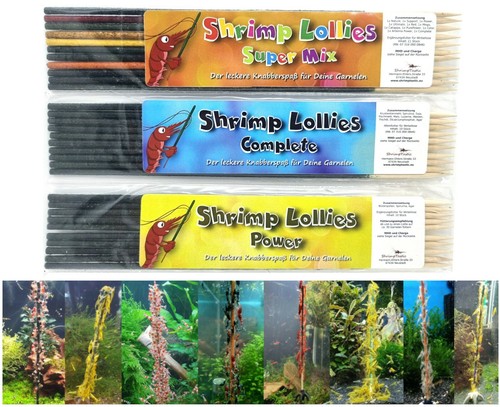 Shrimp lollies top seller - lollies, set