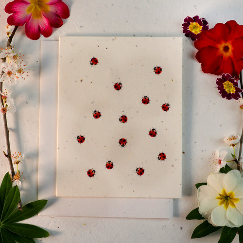 Seeded paper plantable cards - seeded,