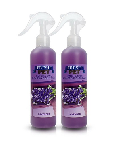 Rodent disinfectant rabbit - rodent,