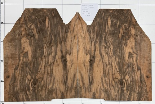 English walnut figured real - english,