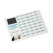 10 x 40 Cat Name Themed
