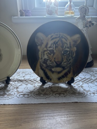 Tiger cub plate bigs cats - tiger,