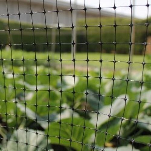 Fruit cage netting poultry - fruit,