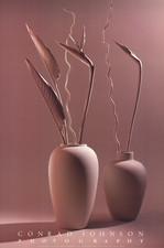 CONRAD JOHNSON Sculpture II 36" x 24" Offset Lithograph 1984 Vintage