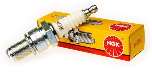 Genuine ngk spark - genuine, to