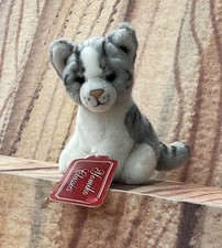 Grey and White  Cat + Tag Russ