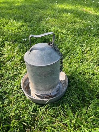 Vintage galvanised poultry - galvanised,