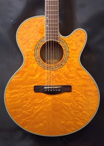 Samick greg bennett design - bennett,