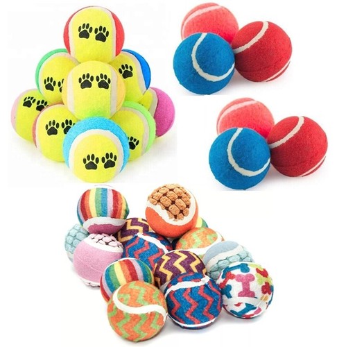 100 x dogs paw - x,