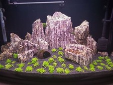 Aquarium Rock Natural Fish