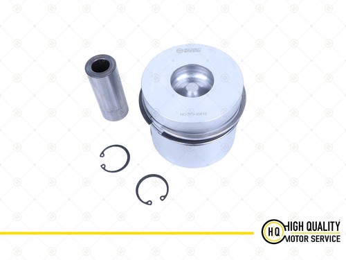 Piston with ring - ring, for