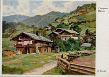 10557381 - 8221 Pinzgau