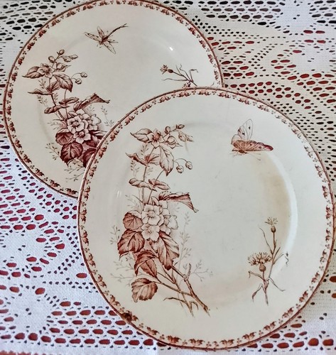 Plates sarreguemines carmen - 2,