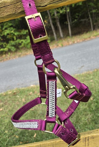 Miniature horse nylon bling - horse,