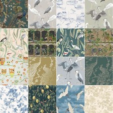 Exotic & Tropical Birds