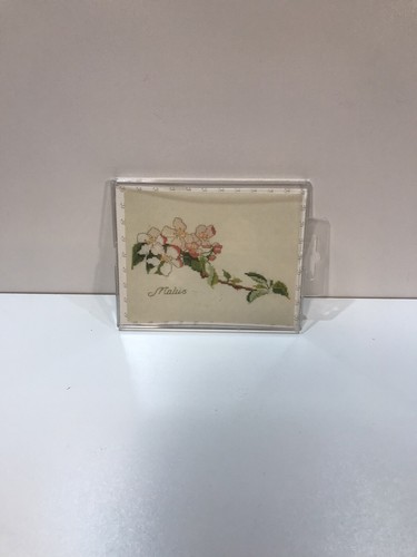 Thea gouverneur cross - , stitch