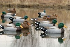 Duck Decoys set of 6  Flambeau
