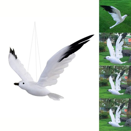 Lifelike feather seagull - feather,