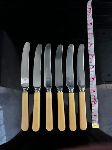 Faux bone handled knives set - bone,