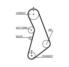 GATES-OE 5491XS Timing Belt
