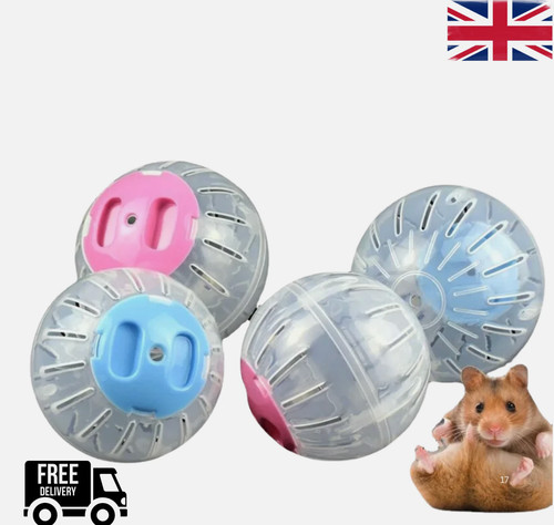 Hamster running ball plastic - running,