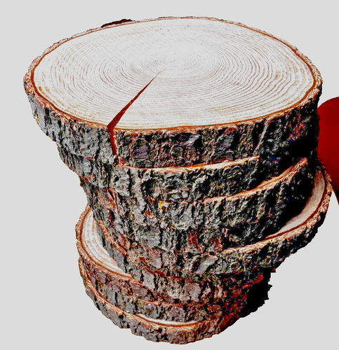 Rustic wedding wooden - logs,