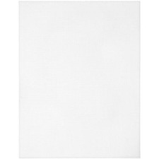 Cousin 10 Count Plastic Canvas