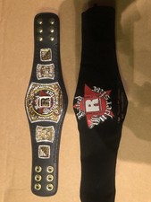 WWE Mini Rated R Spinner