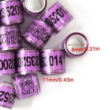 100 Pcs Pigeon Training Foot Ring Dove Supplies Mixed Color Tool For Chicks Leg