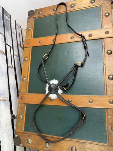 Dyon mexican grackle noseband - dyon,