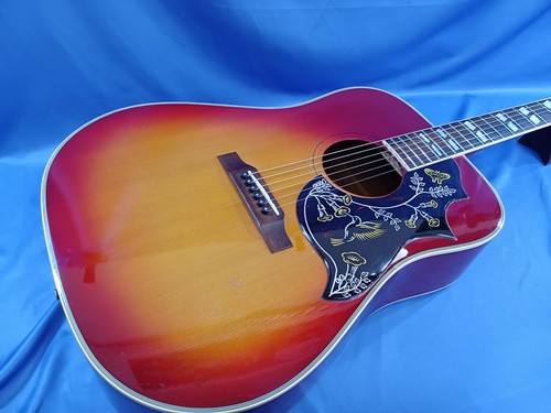 Orville gibson hummingbird - orville,