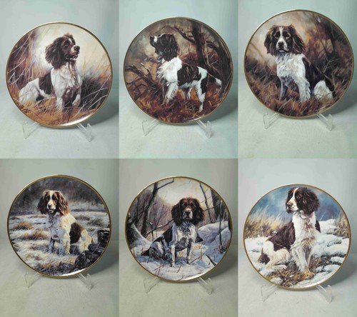Your choice the springer - your,