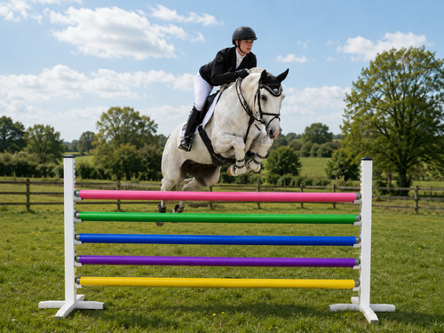 Plastic show jump poles - , 10ft