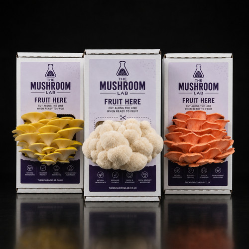 Mushroom grow kit mix - mushroom, &