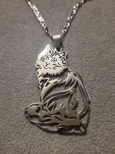 Silver maine coon cat - silver,