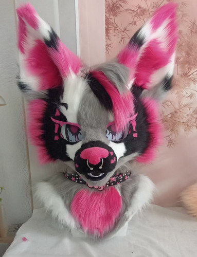 Fursuit long haired dog fox - long,