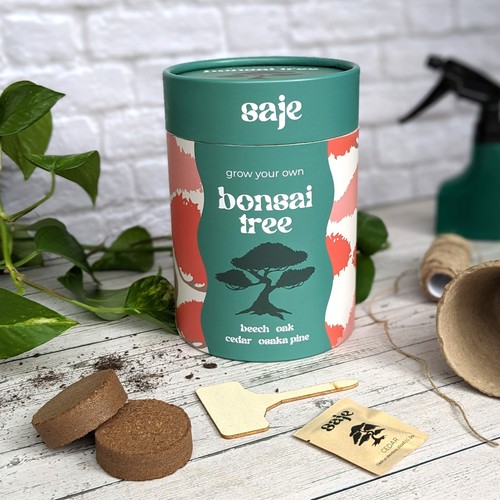 Grow your own bonsai tree - your,