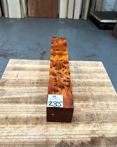 Thuya burr x 12 - 2, 2