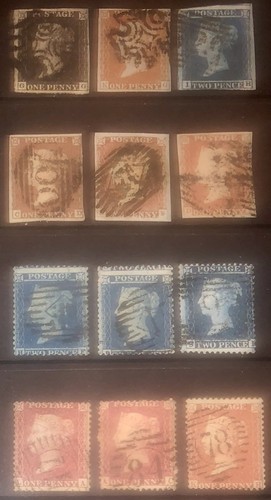 Line engraved selection - line, incl