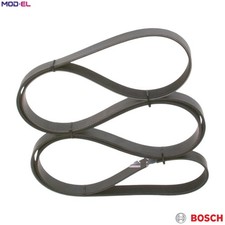 VRIBBED BELT 1 987 947 935 FOR