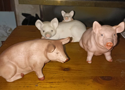 Set ceramic pigs - set,