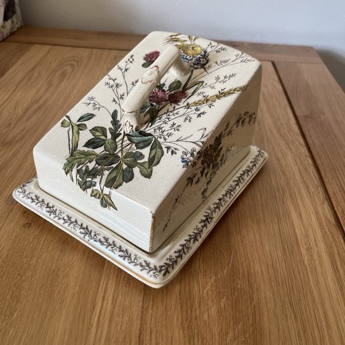Antique pottery cheese dish - pottery,