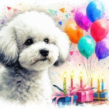 Luxury Bichon Frise Birthday