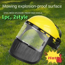 1pc FACESHIELD CLEAR VISOR
