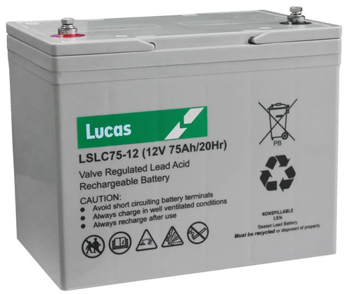 Rascal 889 12v - 889, 2
