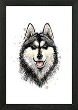 the siberian husky Framed Wall